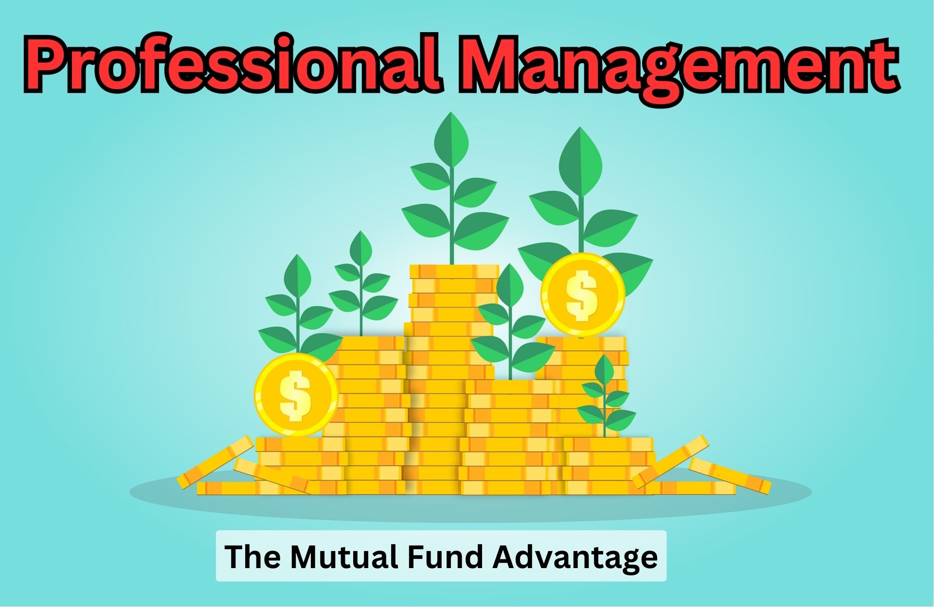 Mastering Your Money: A Guide to Mutual Funds and Exchanges